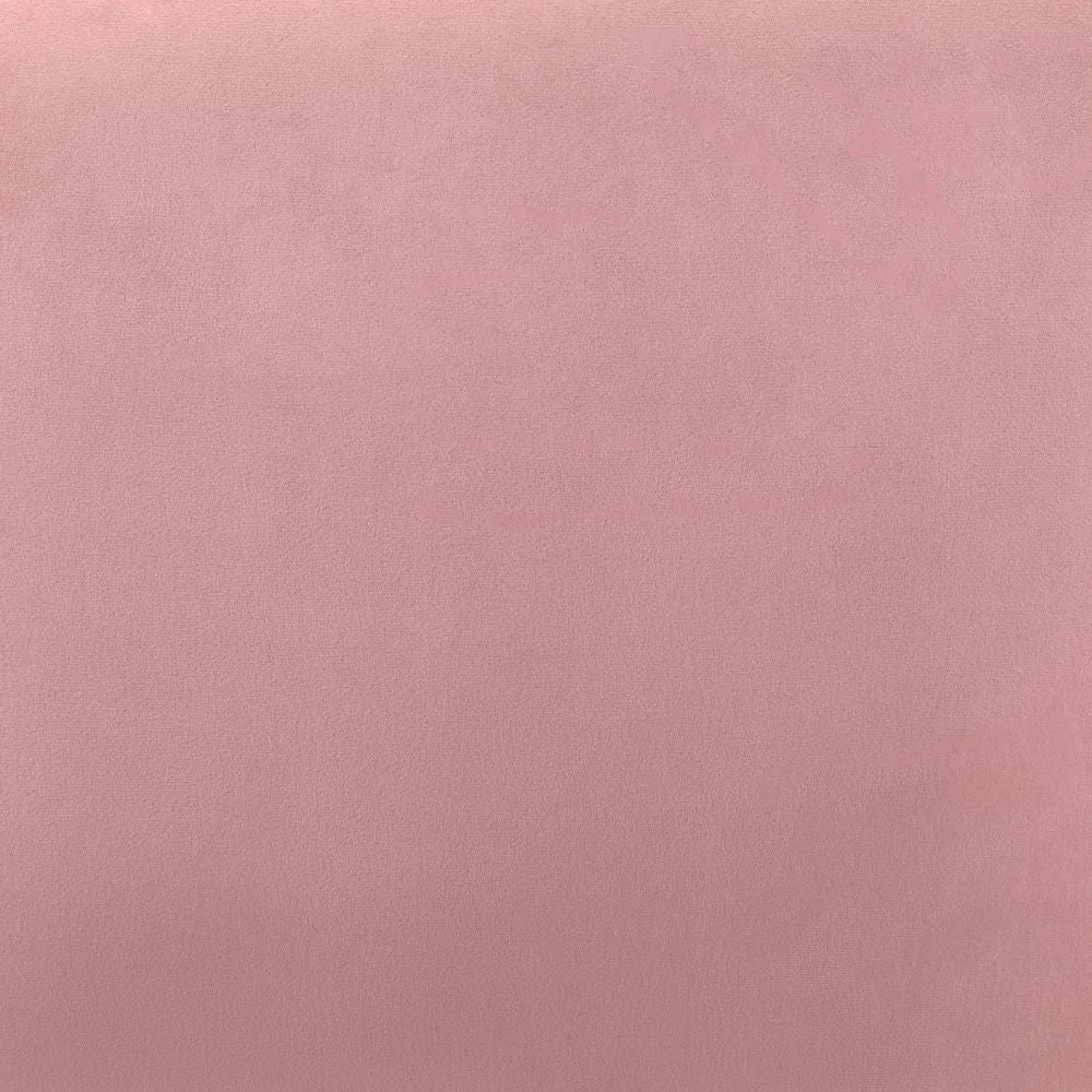 CHAIR ZUO ELIA 101849 | Accent Chair | Pink Black | 100%Polyester | Fabric Velvet | Inside | Bar Restaurant Cafetería Food Court Bar Breakfast Kitchen Bistro Office Space